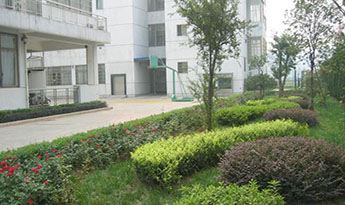 Company Environment