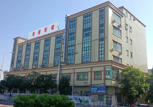 Company Environment